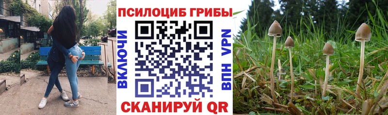 Псилоцибиновые грибы прущие грибы  Купить закладки  Невель 